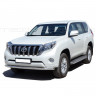 Защита переднего бампера «Труба» (d63,5) для Toyota Land Cruiser Prado 150 (2013-2017)(Окрашенное) купить недорого с доставкой в Можайск